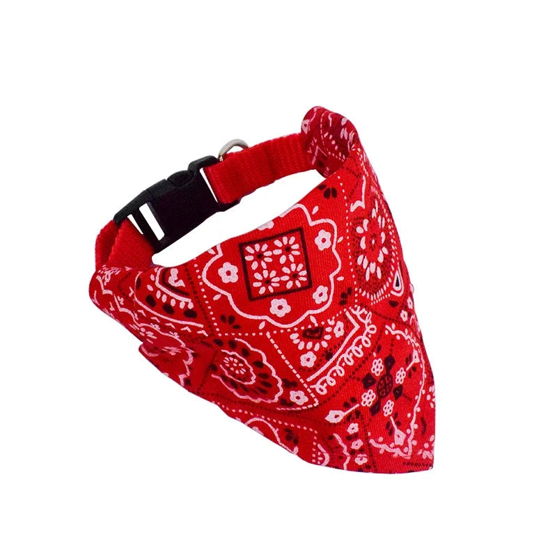 Bandana chien