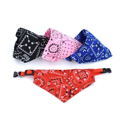 Bandana chien